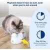 imagePetSafe Electronic Cat Toys  Automatic Cheese and PeekABird  Hide and Seek Teaser Toy  Interactive Bird and Mouse Hunt  Play While You are Away