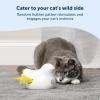 imagePetSafe Electronic Cat Toys  Automatic Cheese and PeekABird  Hide and Seek Teaser Toy  Interactive Bird and Mouse Hunt  Play While You are Away