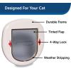 imagePetSafe ExteriorInterior Cat Door  Big Cat 4Way Locking Pet Door Flap for Large Cats  Tinted Privacy Door  Weatherproof Durable Door Frame  DIY Easy Install with Hardware Kit IncludedLargeXLarge Pack of 1