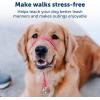 imagePetSafe Gentle Leader Headcollar NoPull Dog Collar  Helps Improve Walks  Durable Nylon Construction  Padded Nose Loop  Adjustable Fit  Comfort Walking Halter  Small BlackRaspberry