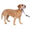 imagePetSafe Gentle Leader Headcollar NoPull Dog Collar  Helps Improve Walks  Durable Nylon Construction  Padded Nose Loop  Adjustable Fit  Comfort Walking Halter  Small BlackDeep Purple
