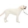 imagePetSafe Gentle Leader Headcollar NoPull Dog Collar  Helps Improve Walks  Durable Nylon Construction  Padded Nose Loop  Adjustable Fit  Comfort Walking Halter  Small BlackFawn