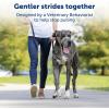 imagePetSafe Gentle Leader Headcollar NoPull Dog Collar  Helps Improve Walks  Durable Nylon Construction  Padded Nose Loop  Adjustable Fit  Comfort Walking Halter  Small BlackRoyal Blue