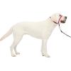 imagePetSafe Gentle Leader Headcollar NoPull Dog Collar  Helps Improve Walks  Durable Nylon Construction  Padded Nose Loop  Adjustable Fit  Comfort Walking Halter  Small BlackRaspberry