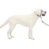 imagePetSafe Gentle Leader Headcollar NoPull Dog Collar  Helps Improve Walks  Durable Nylon Construction  Padded Nose Loop  Adjustable Fit  Comfort Walking Halter  Small BlackRoyal Blue