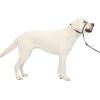 imagePetSafe Gentle Leader Headcollar NoPull Dog Collar  Helps Improve Walks  Durable Nylon Construction  Padded Nose Loop  Adjustable Fit  Comfort Walking Halter  Small BlackCharcoal