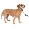 imagePetSafe Gentle Leader Headcollar NoPull Dog Collar  Helps Improve Walks  Durable Nylon Construction  Padded Nose Loop  Adjustable Fit  Comfort Walking Halter  Small BlackBlack