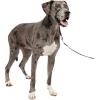 imagePetSafe Gentle Leader Headcollar NoPull Dog Collar  Helps Improve Walks  Durable Nylon Construction  Padded Nose Loop  Adjustable Fit  Comfort Walking Halter  Small BlackBlack