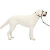 imagePetSafe Gentle Leader Headcollar NoPull Dog Collar  Helps Improve Walks  Durable Nylon Construction  Padded Nose Loop  Adjustable Fit  Comfort Walking Halter  Small BlackCharcoal