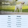imagePetSafe Gentle Leader Headcollar NoPull Dog Collar  Helps Improve Walks  Durable Nylon Construction  Padded Nose Loop  Adjustable Fit  Comfort Walking Halter  Small BlackRaspberry