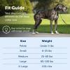 imagePetSafe Gentle Leader Headcollar NoPull Dog Collar  Helps Improve Walks  Durable Nylon Construction  Padded Nose Loop  Adjustable Fit  Comfort Walking Halter  Small BlackBlack