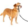 imagePetSafe Gentle Leader Headcollar NoPull Dog Collar  Helps Improve Walks  Durable Nylon Construction  Padded Nose Loop  Adjustable Fit  Comfort Walking Halter  Small BlackBlack
