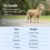 imagePetSafe Gentle Leader Headcollar NoPull Dog Collar  Helps Improve Walks  Durable Nylon Construction  Padded Nose Loop  Adjustable Fit  Comfort Walking Halter  Small BlackRaspberry