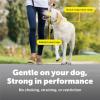 imagePetSafe Gentle Leader Headcollar NoPull Dog Collar  Helps Improve Walks  Durable Nylon Construction  Padded Nose Loop  Adjustable Fit  Comfort Walking Halter  Small BlackBlack