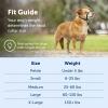 imagePetSafe Gentle Leader Headcollar NoPull Dog Collar  Helps Improve Walks  Durable Nylon Construction  Padded Nose Loop  Adjustable Fit  Comfort Walking Halter  Small BlackBlack