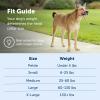 imagePetSafe Gentle Leader Headcollar NoPull Dog Collar  Helps Improve Walks  Durable Nylon Construction  Padded Nose Loop  Adjustable Fit  Comfort Walking Halter  Small BlackRaspberry