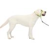imagePetSafe Gentle Leader Headcollar NoPull Dog Collar  Helps Improve Walks  Durable Nylon Construction  Padded Nose Loop  Adjustable Fit  Comfort Walking Halter  Small BlackApple Green