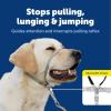 imagePetSafe Gentle Leader Headcollar NoPull Dog Collar  Helps Improve Walks  Durable Nylon Construction  Padded Nose Loop  Adjustable Fit  Comfort Walking Halter  Small BlackBlack