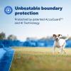 imagePetSafe Guardian GPS  Tracking Dog Fence Collar Pet Safe GPS Dog Collar Fence System with App Waterproof Rechargeable Collar Tracking for Dogs Blue GreyGuardian GPS Fence Collar  Pink Strap