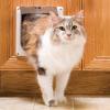 imagePetSafe Interior 2Way Locking Cat Door  Allows Convenient Movement Between Rooms ampamp Minimizes Scratching  Tinted Durable Plastic Privacy Door for Feeder ampamp Litter Box1 Count Pack of 1