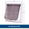 imagePetSafe Interior 2Way Locking Cat Door  Allows Convenient Movement Between Rooms ampamp Minimizes Scratching  Tinted Durable Plastic Privacy Door for Feeder ampamp Litter Box1 Count Pack of 1