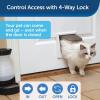 imagePetSafe Interior 2Way Locking Cat Door  Allows Convenient Movement Between Rooms ampamp Minimizes Scratching  Tinted Durable Plastic Privacy Door for Feeder ampamp Litter Box2x8x9 Inch Pack of 1