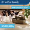 imagePetSafe MultiTier Pet Fountain  Large Waterer Great for Cats and Dogs  2 Heights to Drink from  Great for Senior Pets  100 Oz Water Capacity  Fresh Filtered Water100oz Capacity