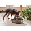 imagePetSafe MultiTier Pet Fountain  Large Waterer Great for Cats and Dogs  2 Heights to Drink from  Great for Senior Pets  100 Oz Water Capacity  Fresh Filtered Water100oz Capacity