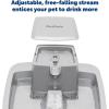 imagePetSafe Oasys 1 Gallon 128 Ounce Medium Pet Fountain  Cat or Medium Breed Dog Water Fountain  Dishwasher Safe Filtered Water Dispenser with Flow Control  Filters Included  Easy to Clean2 gallon