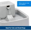 imagePetSafe Oasys 1 Gallon 128 Ounce Medium Pet Fountain  Cat or Medium Breed Dog Water Fountain  Dishwasher Safe Filtered Water Dispenser with Flow Control  Filters Included  Easy to Clean12 Gallon Fountain