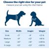 imagePetSafe Plastic Pet Door  Easy Install for Wood PVC Metal ampamp Paneled Doors  RustFree Plastic Frame  Flap Dimensions 8 14quot W x 12 14quot H  for Medium Dogs Weighing Up to 40 lbSmall