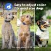 imagePetSafe Pro Dog Trainer with Remote  Waterproof Training Collar  1000 ft Range  Tone Vibration and 19 Levels of Static  AddADog Compatible  Sleek Remote Training CollarCore Trainer