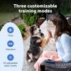 imagePetSafe Pro Dog Trainer with Remote  Waterproof Training Collar  1000 ft Range  Tone Vibration and 19 Levels of Static  AddADog Compatible  Sleek Remote Training CollarCore Trainer