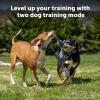 imagePetSafe Pro Dog Trainer with Remote  Waterproof Training Collar  1000 ft Range  Tone Vibration and 19 Levels of Static  AddADog Compatible  Sleek Remote Training CollarCore AddaDog