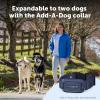 imagePetSafe Pro Dog Trainer with Remote  Waterproof Training Collar  1000 ft Range  Tone Vibration and 19 Levels of Static  AddADog Compatible  Sleek Remote Training CollarPro Trainer