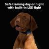 imagePetSafe Pro Dog Trainer with Remote  Waterproof Training Collar  1000 ft Range  Tone Vibration and 19 Levels of Static  AddADog Compatible  Sleek Remote Training CollarCore Trainer