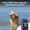 imagePetSafe Pro Dog Trainer with Remote  Waterproof Training Collar  1000 ft Range  Tone Vibration and 19 Levels of Static  AddADog Compatible  Sleek Remote Training CollarPro Trainer