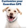 imagePetSafe Replacement Strap for Guardian GPS  Tracking 10 and Guardian GPS Dog Fence Collar Made with Soft Touch Nylon for Enhanced ComfortLong Lasting Wear Water Wicking Waterproof Material PinkGray
