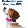 imagePetSafe Replacement Strap for Guardian GPS  Tracking 10 and Guardian GPS Dog Fence Collar Made with Soft Touch Nylon for Enhanced ComfortLong Lasting Wear Water Wicking Waterproof Material PinkPink