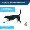 imagePetSafe Ricochet  Electronic Squeaking Dog Toy  2 Paired Toys Squeak to Keep Dogs Busy  Engaging Puzzle for Bored Anxious or Energetic Pets