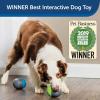 imagePetSafe Ricochet  Electronic Squeaking Dog Toy  2 Paired Toys Squeak to Keep Dogs Busy  Engaging Puzzle for Bored Anxious or Energetic Pets