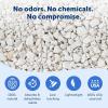 imagePetSafe ScoopFree Natural Litter Reusable Tray  Durable Plastic Tray with Stainless Steel Magnets  Comes with 42 lb Bag of Premium Natural Litter8 Pound Pack of 1
