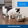 imagePetSafe Seaside Stainless Pet Fountain  Encourages Hydration  Dual Filtration Removes Odors  Compact Design  Rust Resistant Material  Quiet Motor 1 Count
