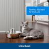 imagePetSafe Seaside Stainless Pet Fountain  Encourages Hydration  Dual Filtration Removes Odors  Compact Design  Rust Resistant Material  Quiet Motor 1 Count