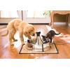 imagePetSafe Seaside Stainless Pet Fountain  Encourages Hydration  Dual Filtration Removes Odors  Compact Design  Rust Resistant Material  Quiet Motor 8 lb