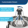 imagePetSafe Seaside Stainless Pet Fountain  Encourages Hydration  Dual Filtration Removes Odors  Compact Design  Rust Resistant Material  Quiet Motor 8 lb