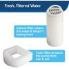 imagePetSafe Seaside Stainless Pet Fountain  Encourages Hydration  Dual Filtration Removes Odors  Compact Design  Rust Resistant Material  Quiet Motor 8 lb