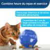 imagePetSafe SlimCat Interactive Feeder  Combines Play with Mealtime  Adjustable Portions  BPAFree Plastic  Slow Feeder for Digestion  Lightweight DishwasherSafe Toy  PinkBlue