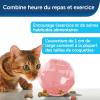 imagePetSafe SlimCat Interactive Feeder  Combines Play with Mealtime  Adjustable Portions  BPAFree Plastic  Slow Feeder for Digestion  Lightweight DishwasherSafe Toy  PinkPink