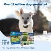 imagePetSafe Stay ampamp Play Pet Fence Wireless Dog Fence Collar Rechargeable Receiver Collar Waterproof Design Compatible with All PetSafe Wireless Fences Invisible Wireless System BlackWireless Fence Kit